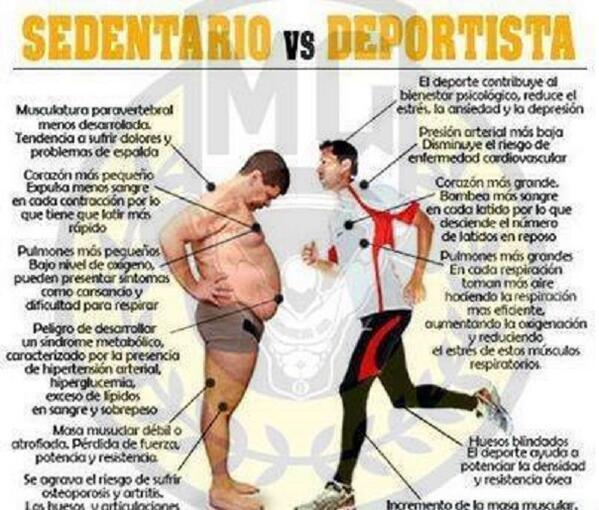 Ser deportista o sedentario Artículos Siguetuliga